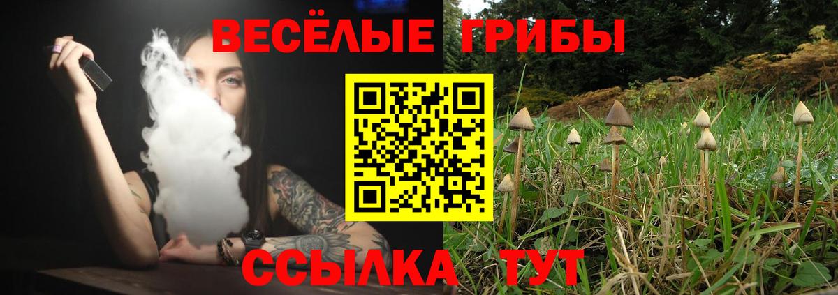 Псилоцибиновые грибы прущие грибы  Вход с VPN  Пыть-Ях  Галлюциногенные грибы Psilocybe 